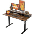 48 X 24 Inches Height Adjustable Electric Standing Desk With 2 Drawers, Stand Up Electric Desk Adjustable Height, Sit Stand Comp