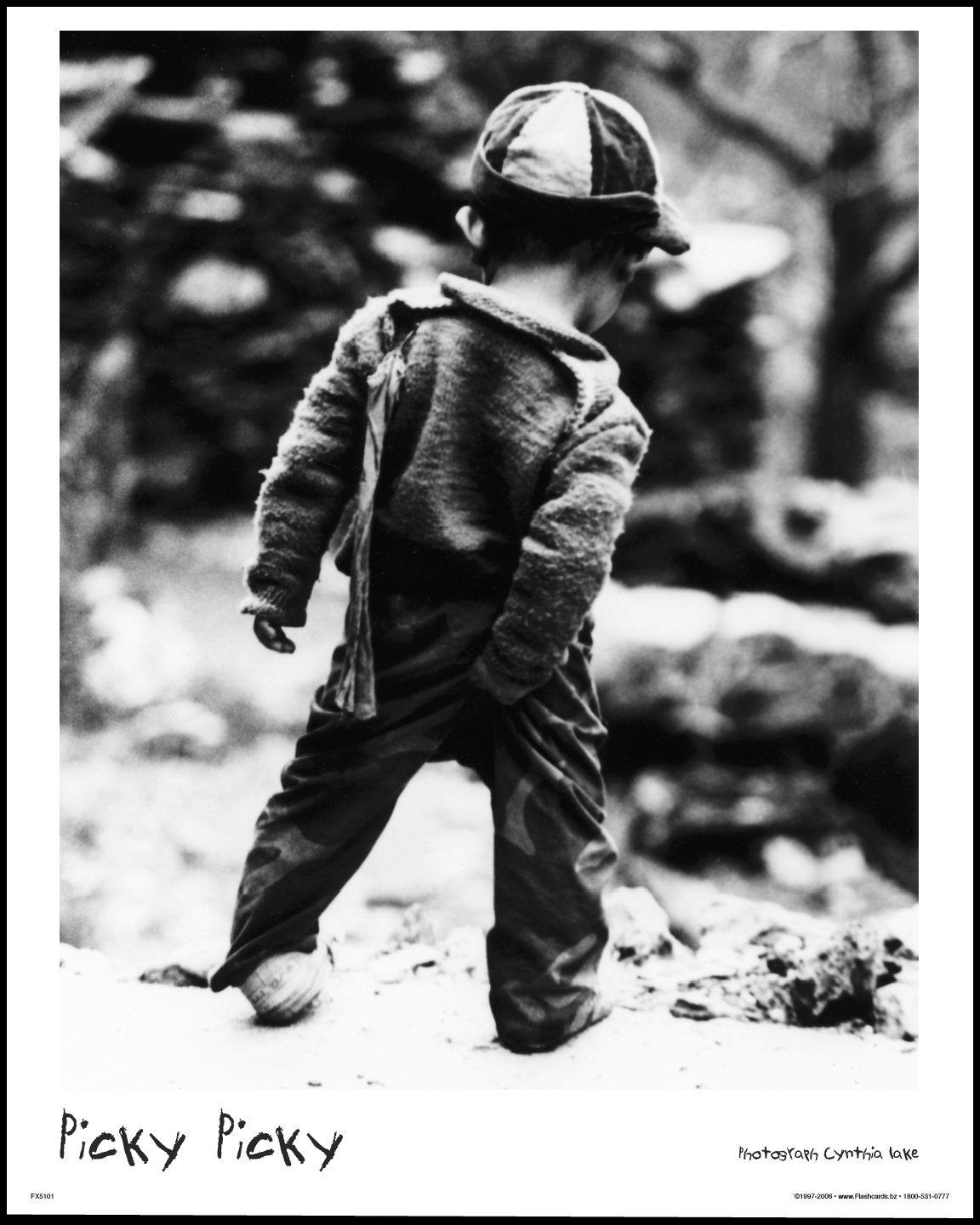 Picky Picky Poster 16 X 20 Inches Photo by Cynthia Lake