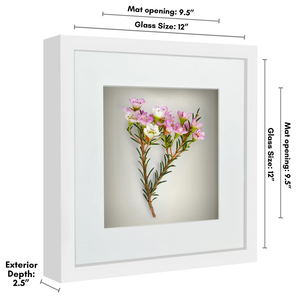 Americanflat 12X12 Shadow Box Frame With Shatter-Resistant Glass - Use As 10X10 Frame With Mat Or 12X12 Frame Without Mat - Silh
