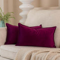 Juspurbet Purple Decorative Velvet Throw Pillow Covers 16X24 Inch Set Of 2,Broadside Soft Cushion Case With Invisible Zipper For