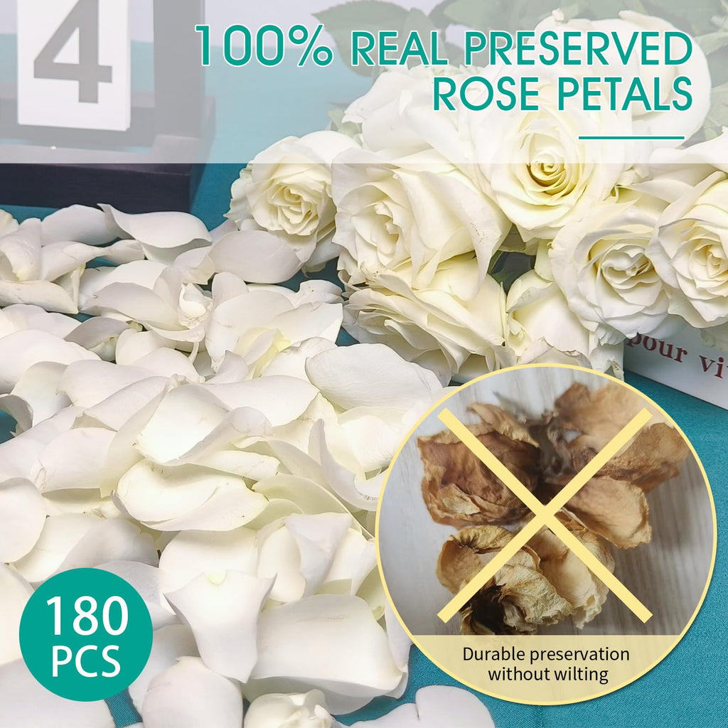 Dried Real White Rose Petals, Freeze Preserved Flower Petals 1.75Oz For Valentine'S Day Gifts Wedding Party Decor, Flower Girl,