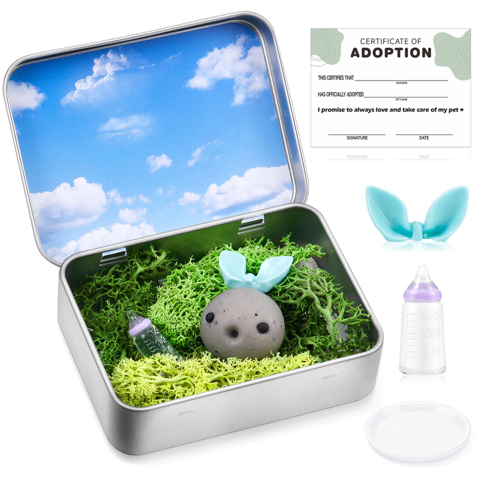 Tinideya 9 Pcs Rock Adoption Pets back to school gift Pet Baby Rock Gag Gift with Adoption Certificate Green Moss Tinplate Box M