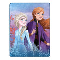 Disney Frozen 2 - North Remembers Silk Touch Throw Blanket, 46 x 60