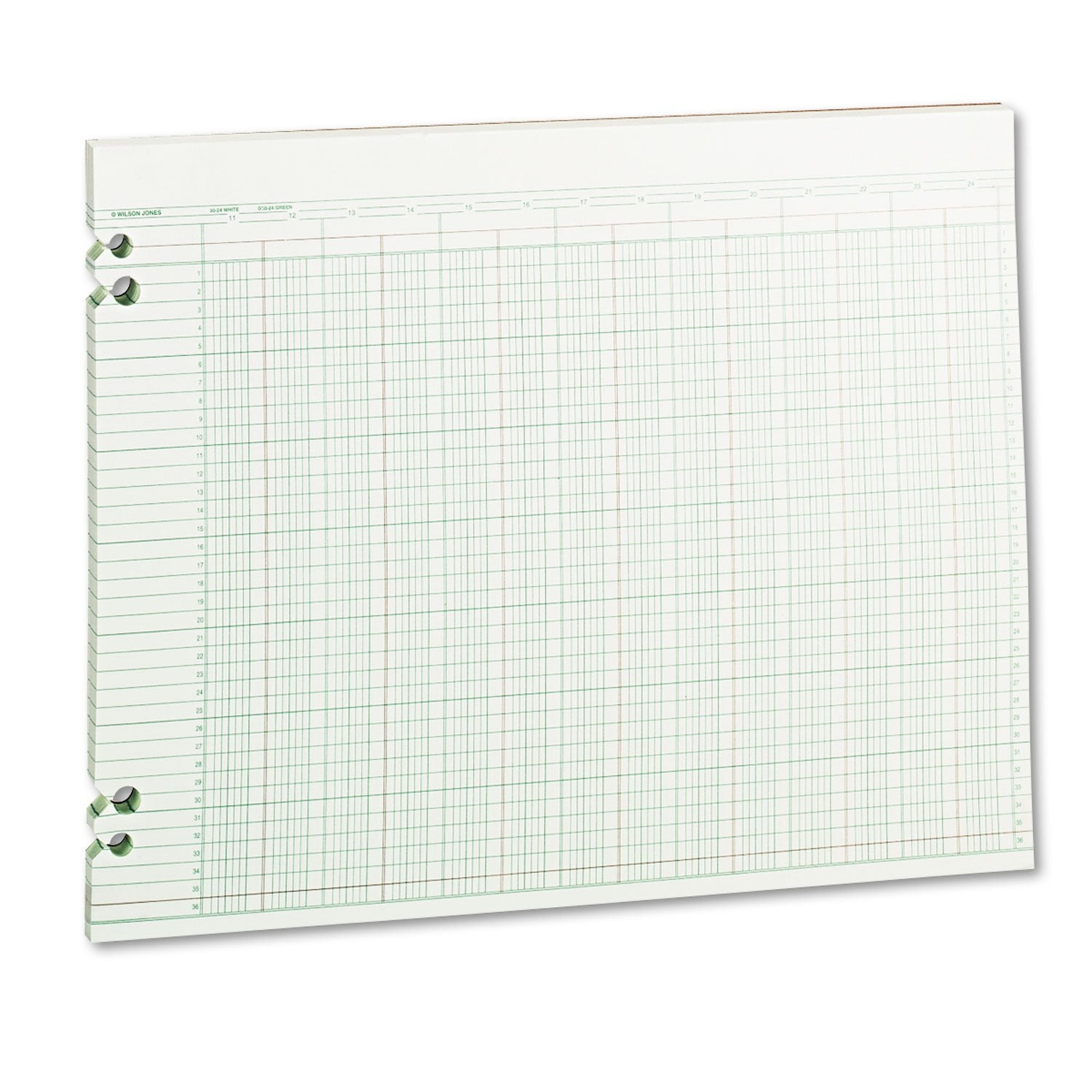 Wilson Jones Wljg3024 Green Columnar Ruled Ledger Paper, Double Page Format, 24 Columns And 36 Lines Per Page, 11 X 14 Inches, 1