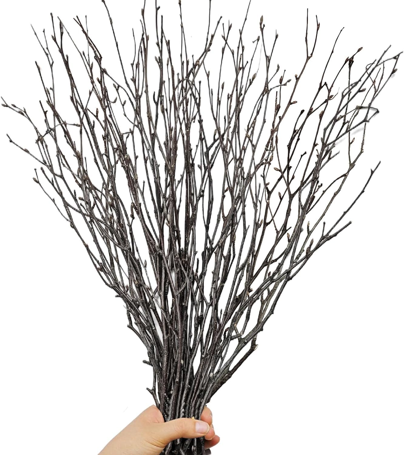 30Pcs Real Dried Birch Twigs - 17    Decorative 100% Natural Birch Branches for Easter Vases, Curly Willow Branches, DIY, Floral