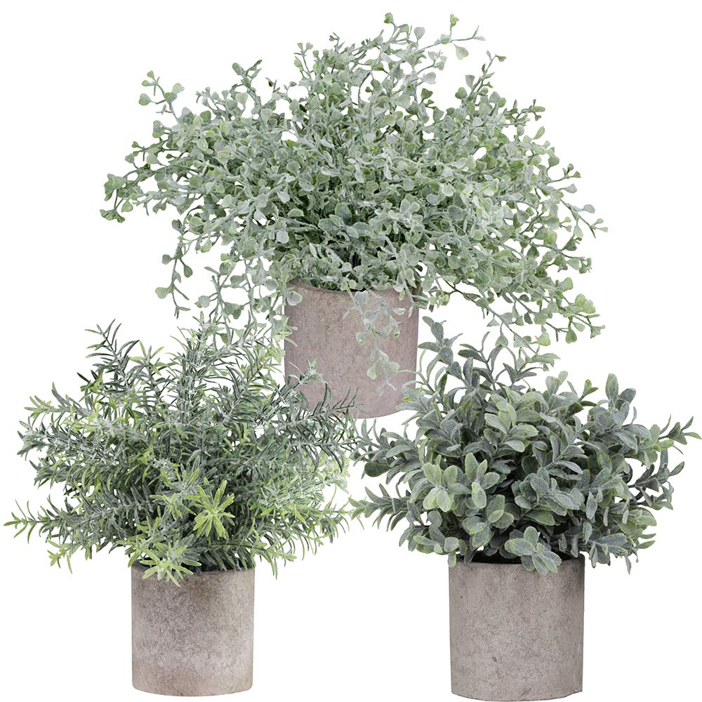 Winlyn Mini Potted Plants Artificial Flocked Eucalyptus Boxwood Rosemary Greenery in Pots Faux Potted Herbs Small Houseplants 8.
