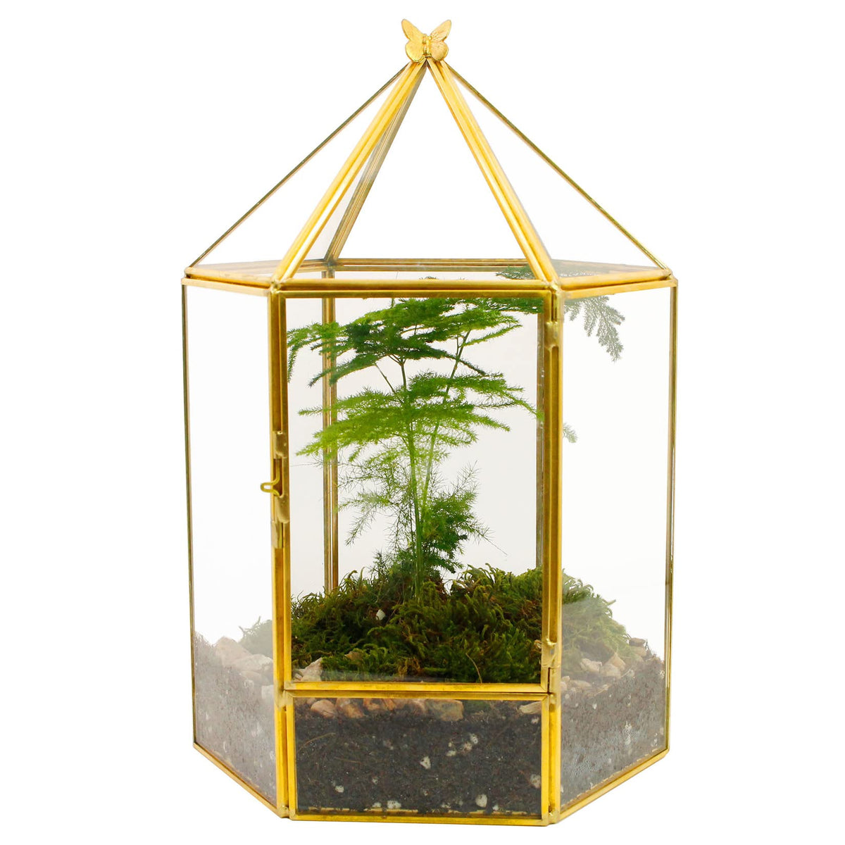 Elegantlife Glass Geometric Plant Terrarium,Succulent & Air Planter For Home Garden Office Decoration,No Plants(Gold Hexagonal)