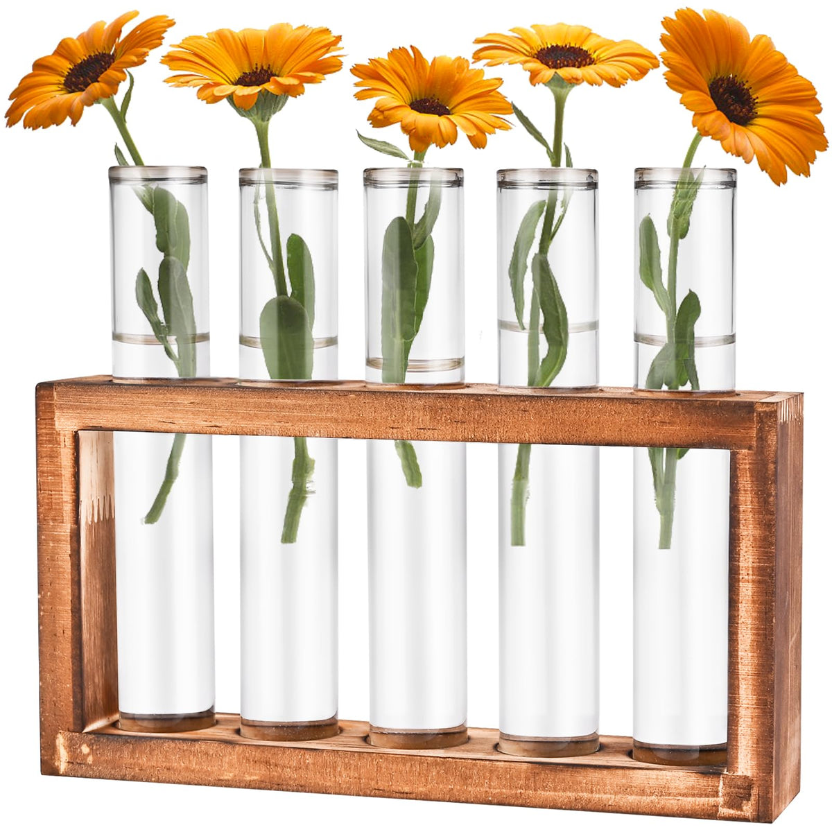 Tigvio Desktop Glass Plant Propagation Station With 5 Test Tubes In Wooden Stand - Hydroponic Plants Cutting Office Home Decorat