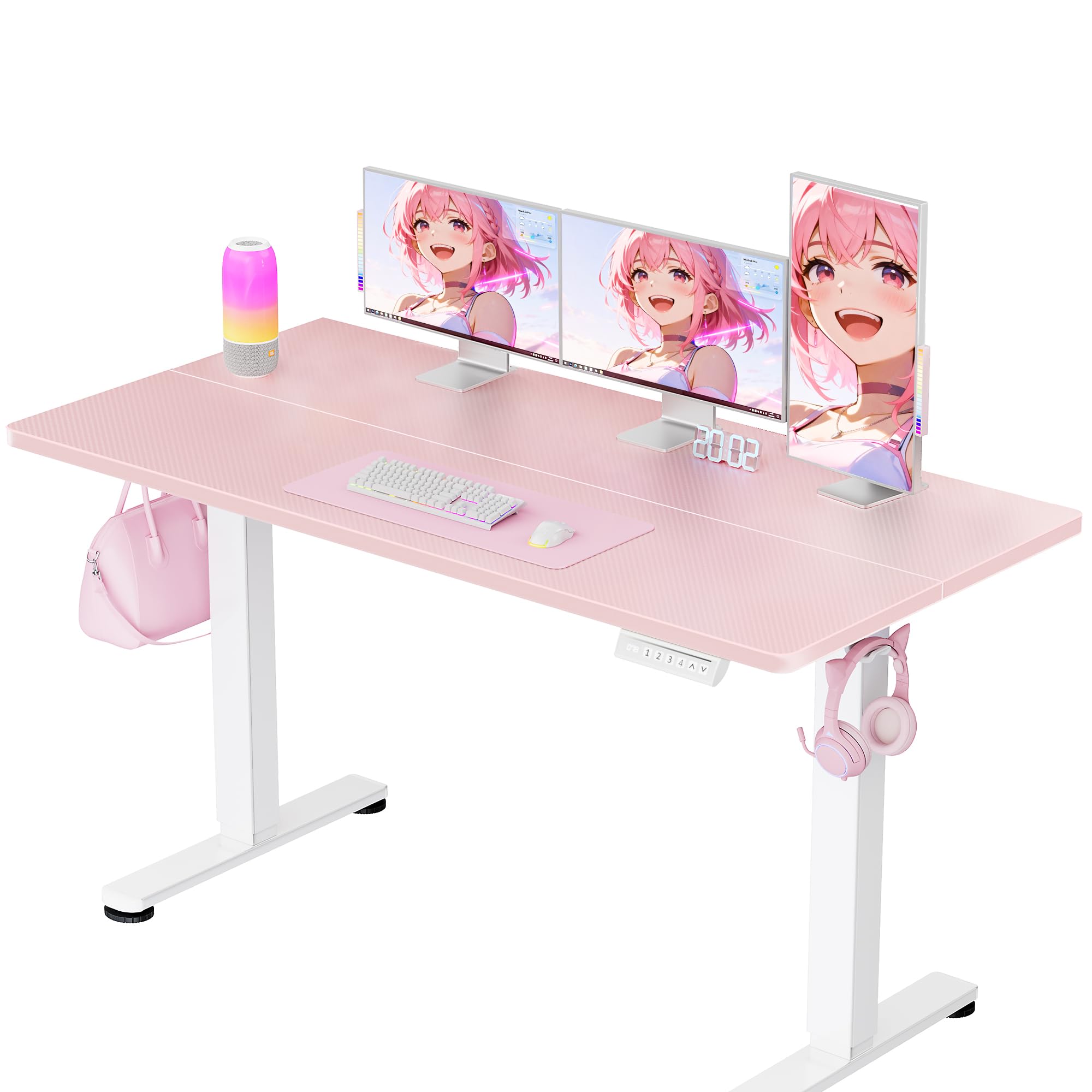 ErGear Height Adjustable Electric Standing Desk, 55 x 27.5 Inches Sit Stand up Desk, Memory Computer Home Office Desk with Two-P