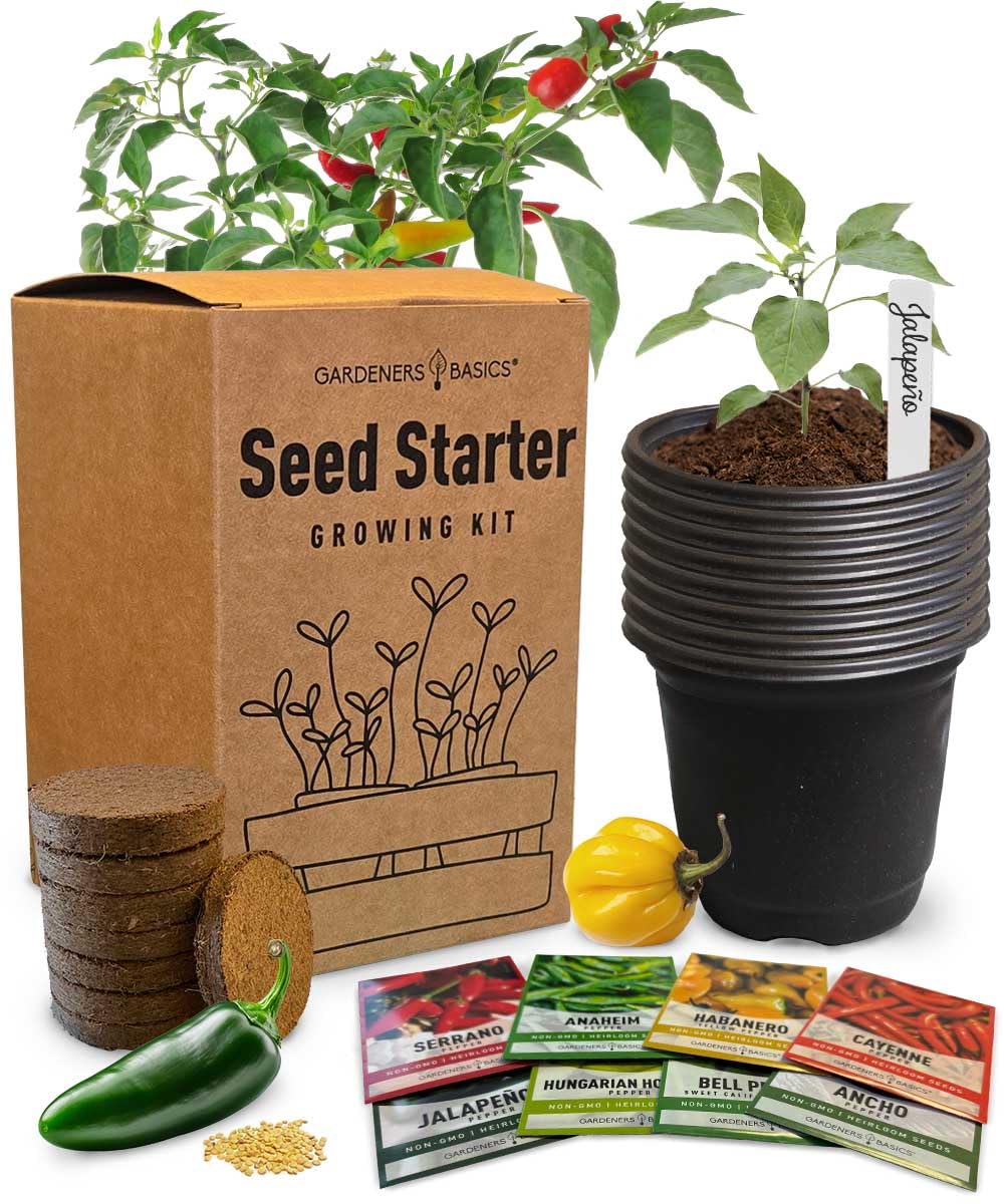 Pepper Seeds Variety Pack Indoor Pepper Growing Kit Our Pepper Seeds Kit Includes Green Bell Pepper, Anaheim, Jalapeno, Cayenne,