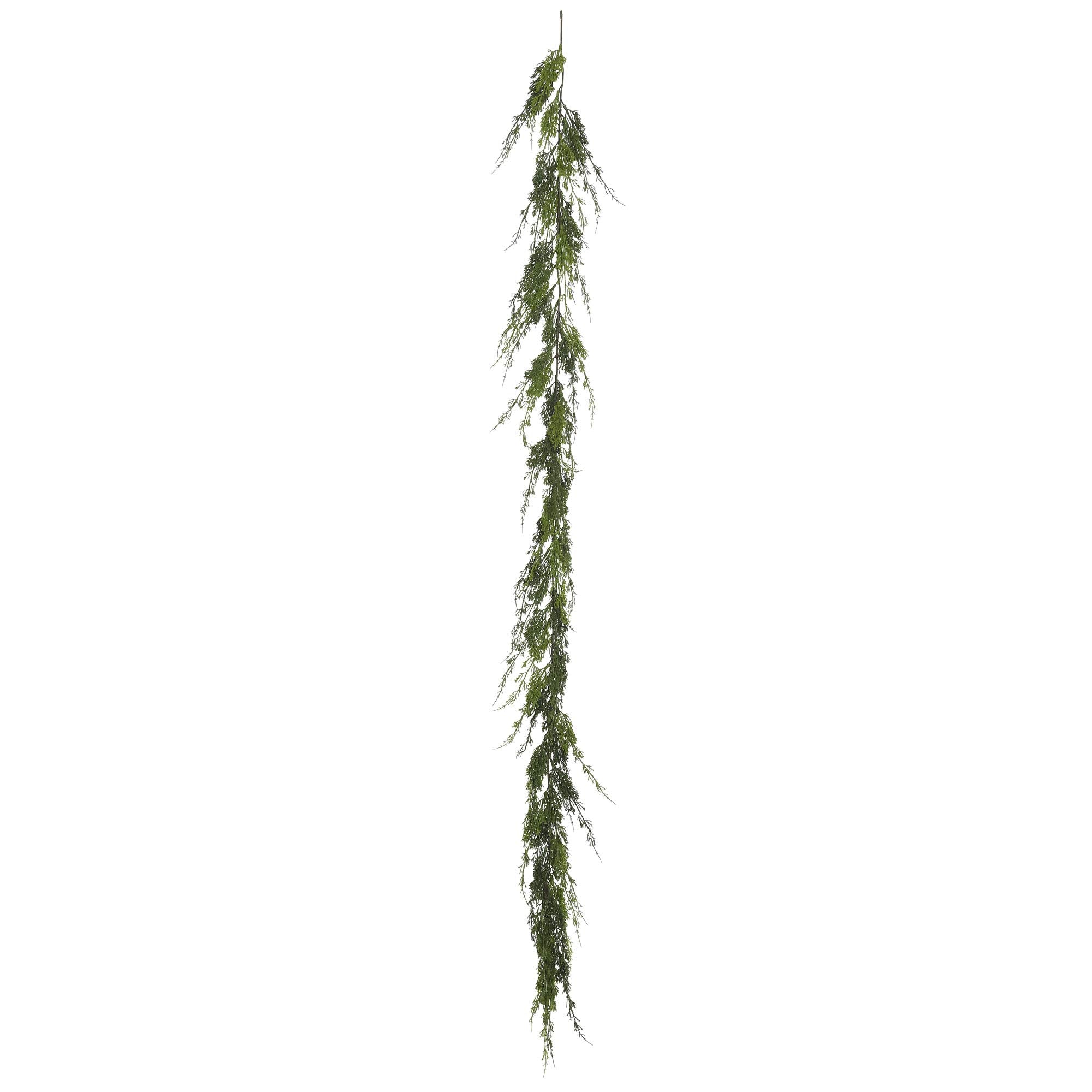 Vickerman FK171302 Everyday Cypress Garland. Includes 24 Per Pack