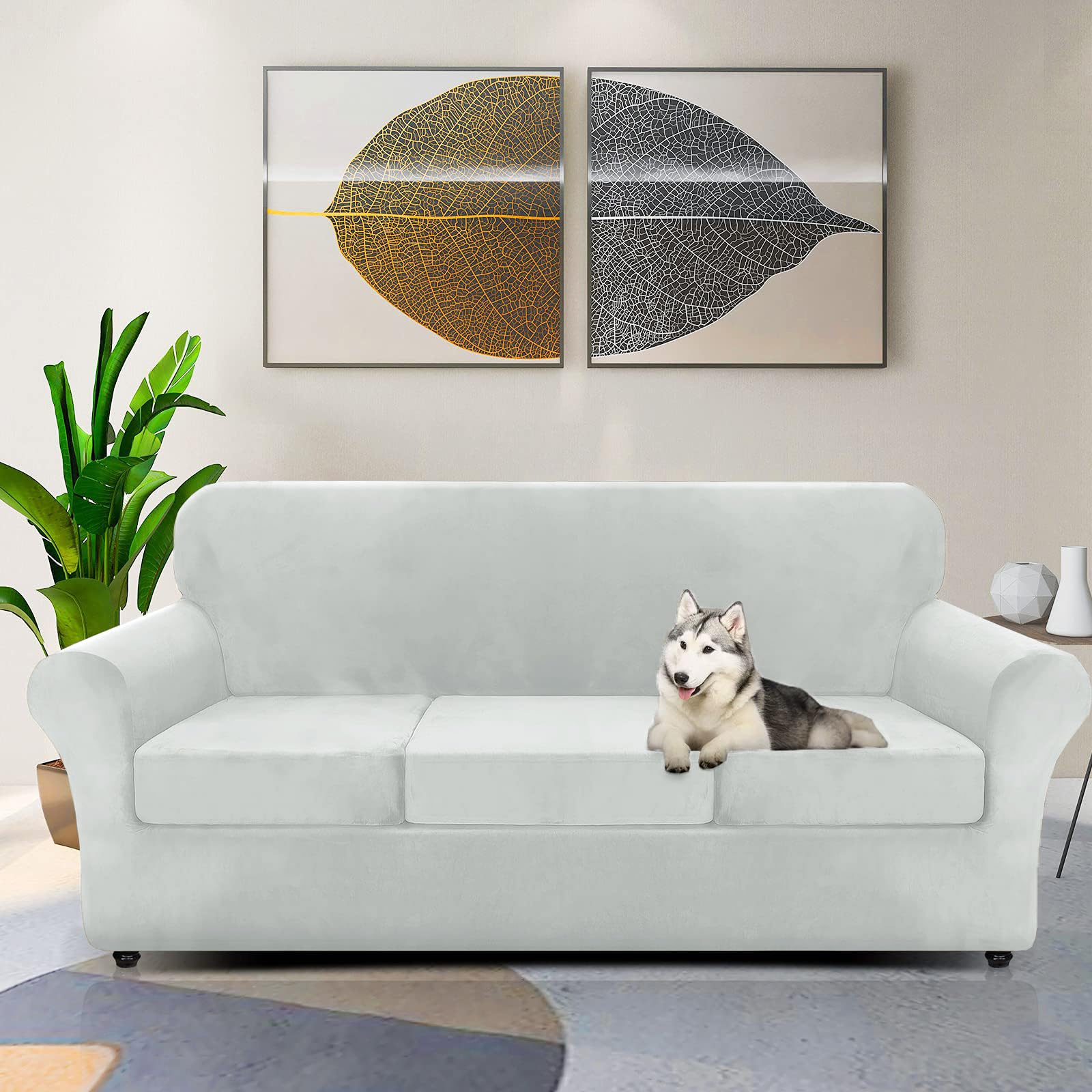 Znsayotx Luxury Velvet Couch Cover 4 Piece Stretch Sofa Covers For 3 Cushion Couch Thick Soft Spandex Sofa Slipcover Living Room Anti Slip Dogs Furniture Protector (Silver Grey), 71'-91'(3 Cushions)