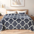 Richave Gray Pattern Twin Size Blanket,Premium Lightweight Anti-Static 66X90 Inches Throw Blankets For Twin/Twin Xl Extra Long Bed,Couch, Sofa, Chair, Camping, Picnic,Grey And White