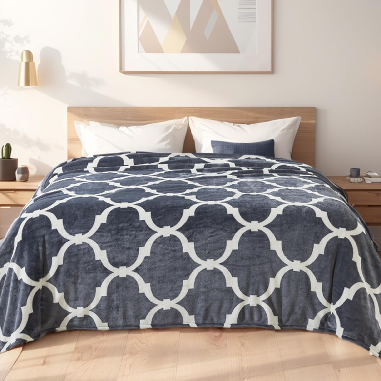Richave Gray Pattern Twin Size Blanket,Premium Lightweight Anti-Static 66X90 Inches Throw Blankets For Twin/Twin Xl Extra Long Bed,Couch, Sofa, Chair, Camping, Picnic,Grey And White