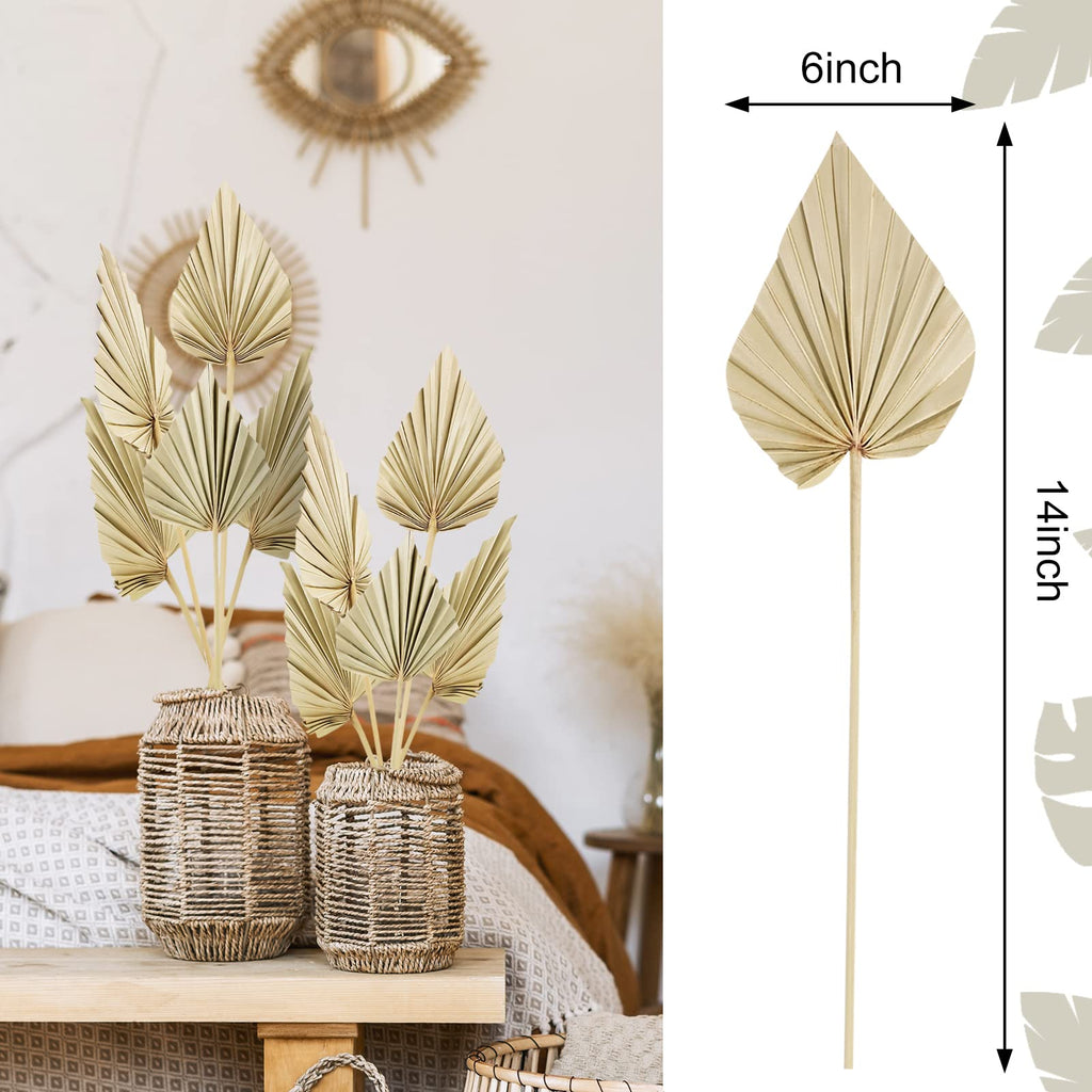 Chenkaiyang 10 Pcs Boho Dried Palm Spears Leaves Bulk, Small Natural Dried Real Palm Fans,Dried Palm Leaves With Stem Dried Leaf