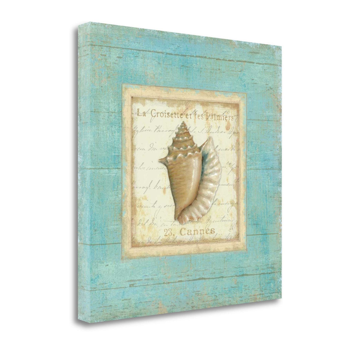 24' French Chic Seashell Print on Gallery Wrap Canvas Wall Art