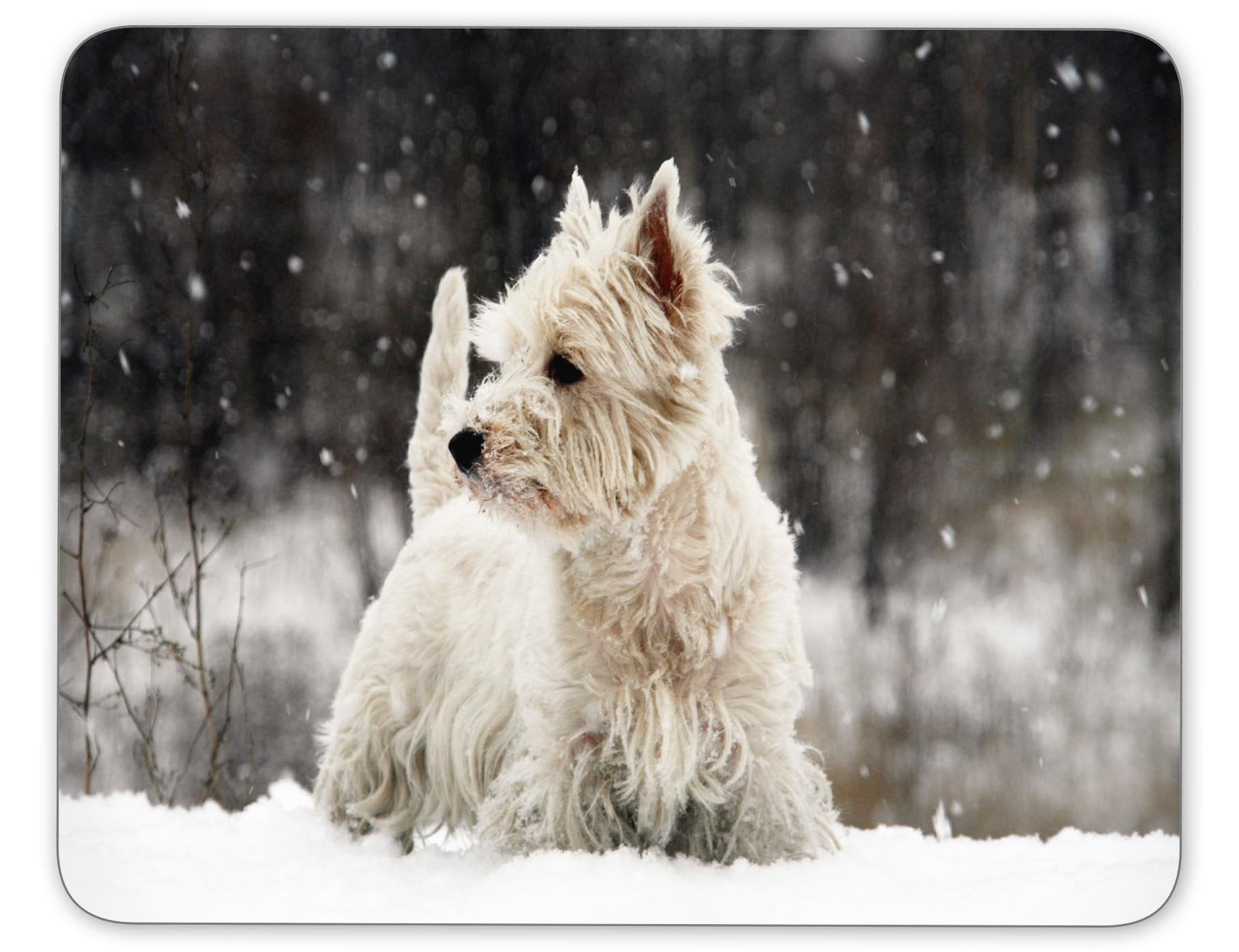 West Highland White Terrier Mouse Pad-Non-Slip Rubber Mousepad-Applies To Games,Home, School,Office Mouse Pad