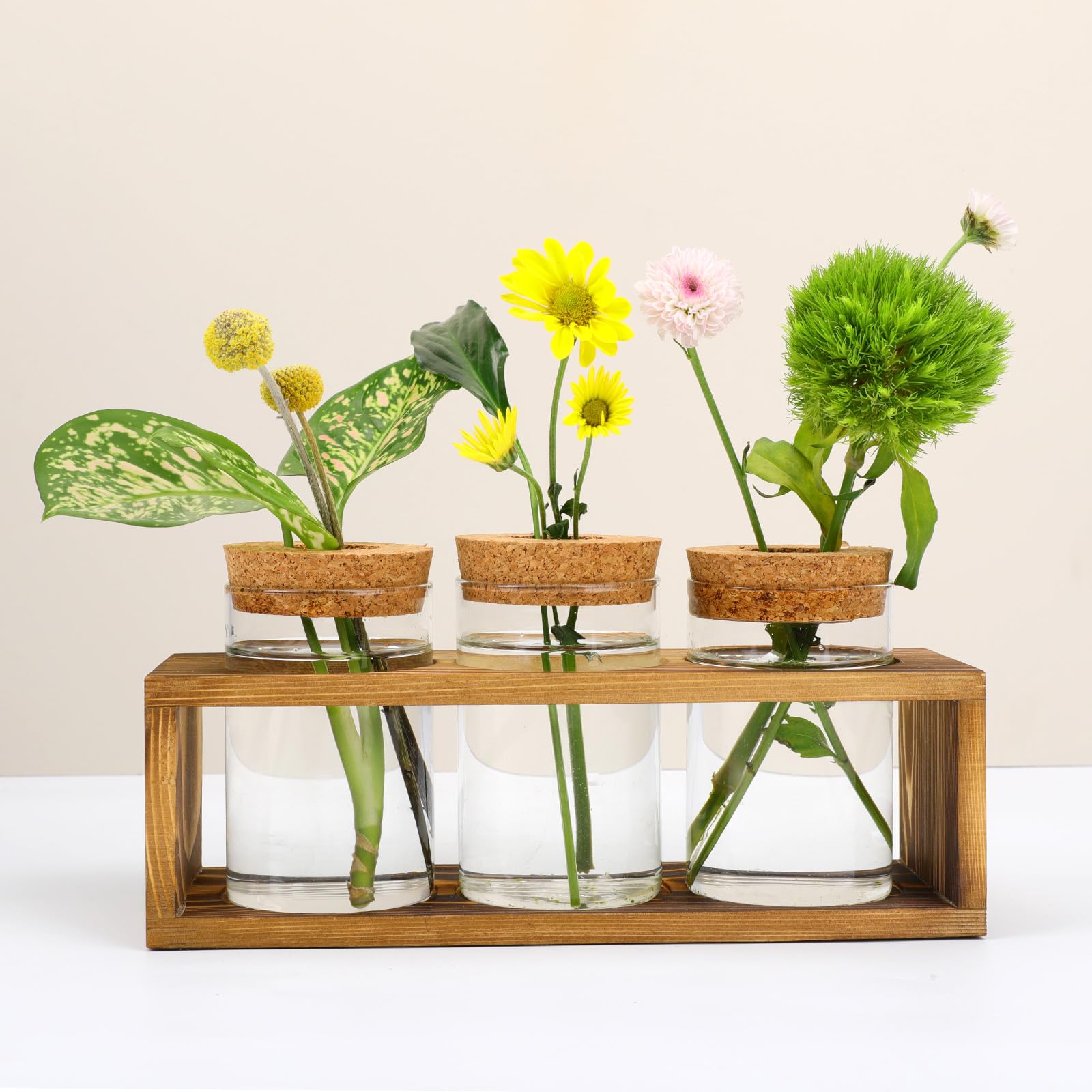 Pechaut Propagation Station, Glass Plant Terrarium For Plant Cuttings, Ideal Gifts For Women, Enhances Home Dcor, Ideal Indoor C