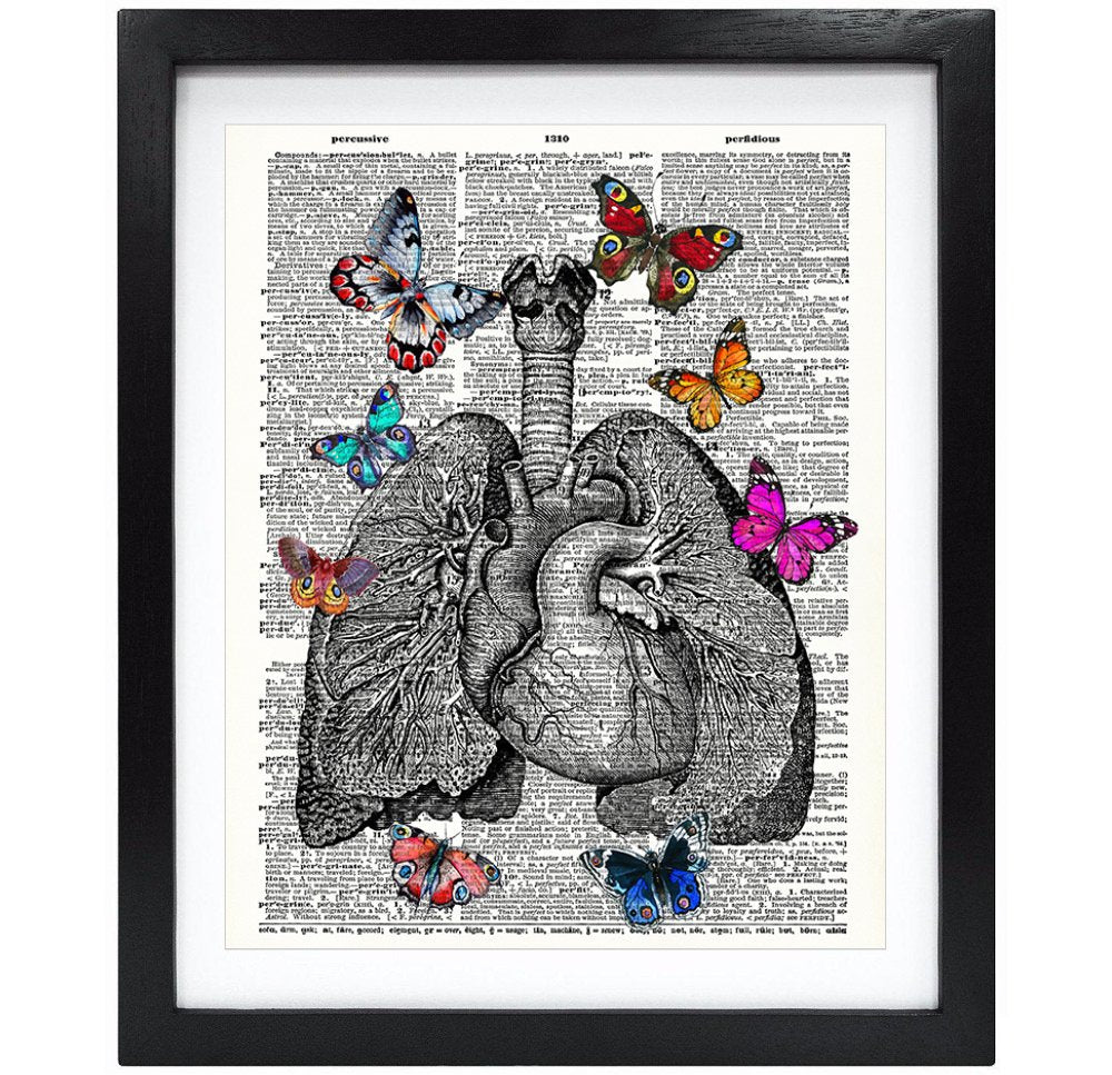 Susie Arts 8X10 Unframed Lungs and Heart Anatomy With Butterflies Upcycled Vintage Dictionary Art Print Book Art Print Home Deco