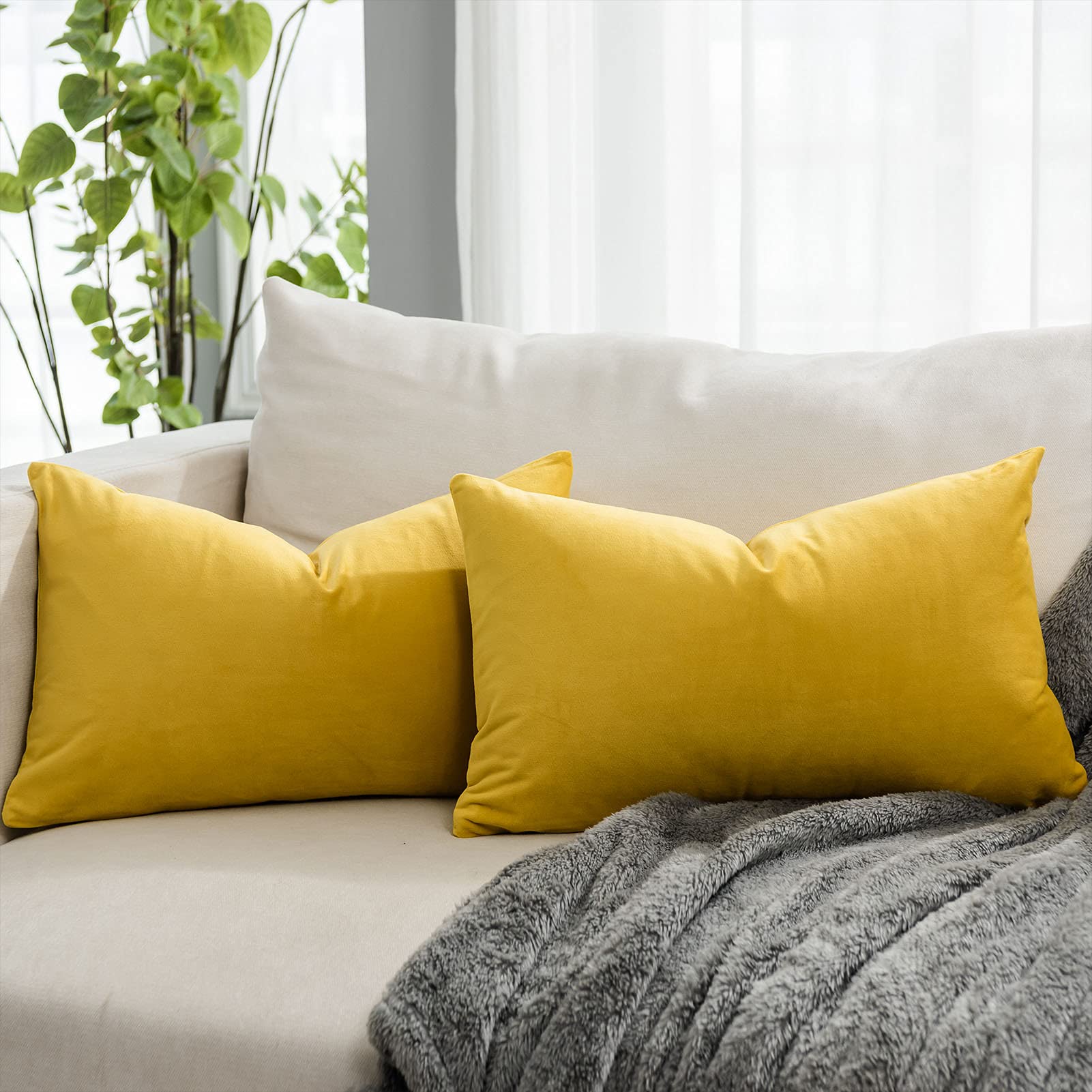 Quafoo Lemon Decorative Lumbar Velvet Throw Pillow Covers 16X24 Inch Set Of 2 With Zipper Luxury Soft Solid Rectangle Cushion Co