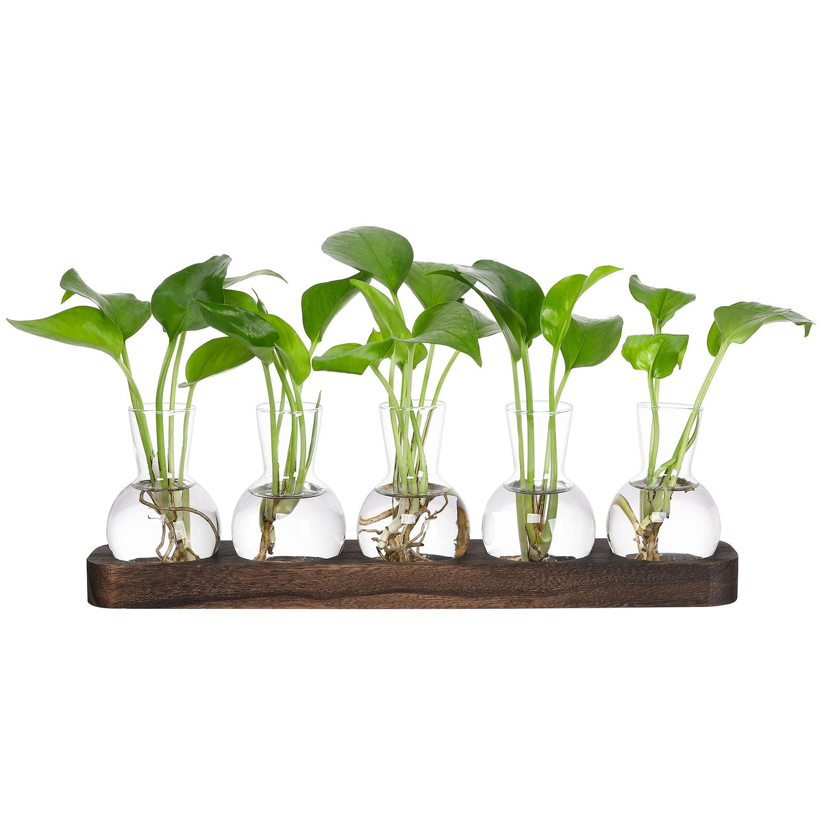 Yibot Plant Propagation Stations,Glass Propagation Vases For Plants Terrarium With Wooden Tray Plant Lover Gifts For Propagating