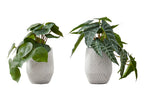 Monarch Specialties I 9582 Artificial Plant, 8' Tall, Alocasia, Indoor, Faux, Fake, Table, Greenery, Potted, Set of 2, Decorative, Green Leaves