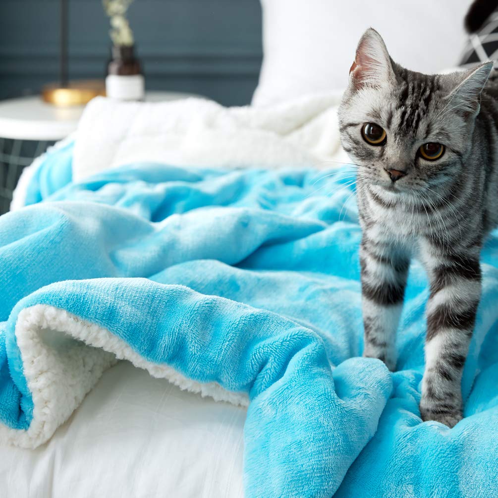 Lbro2M Sherpa Fleece Bed Blanket Queen Size Super Soft Fuzzy Plush Warm Cozy Fluffy Microfiber Couch Throw Velvet Double Reversible Luxurious Blankets,(90X90 Teal)