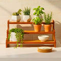 3Tier Wooden Step Shelf Organiser, 35X23X15 Cm