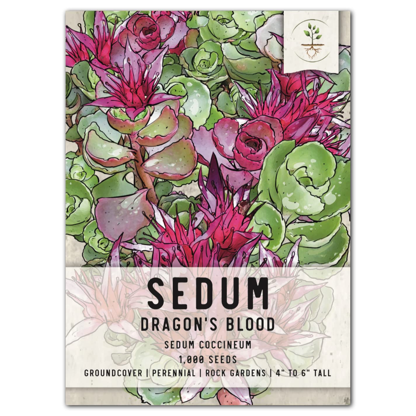 Seed Needs, Dragon'S Blood Sedum Seeds - 1,000 Heirloom Seeds For Planting Sedum Coccineum - Great Groundcover For Rock Gardens