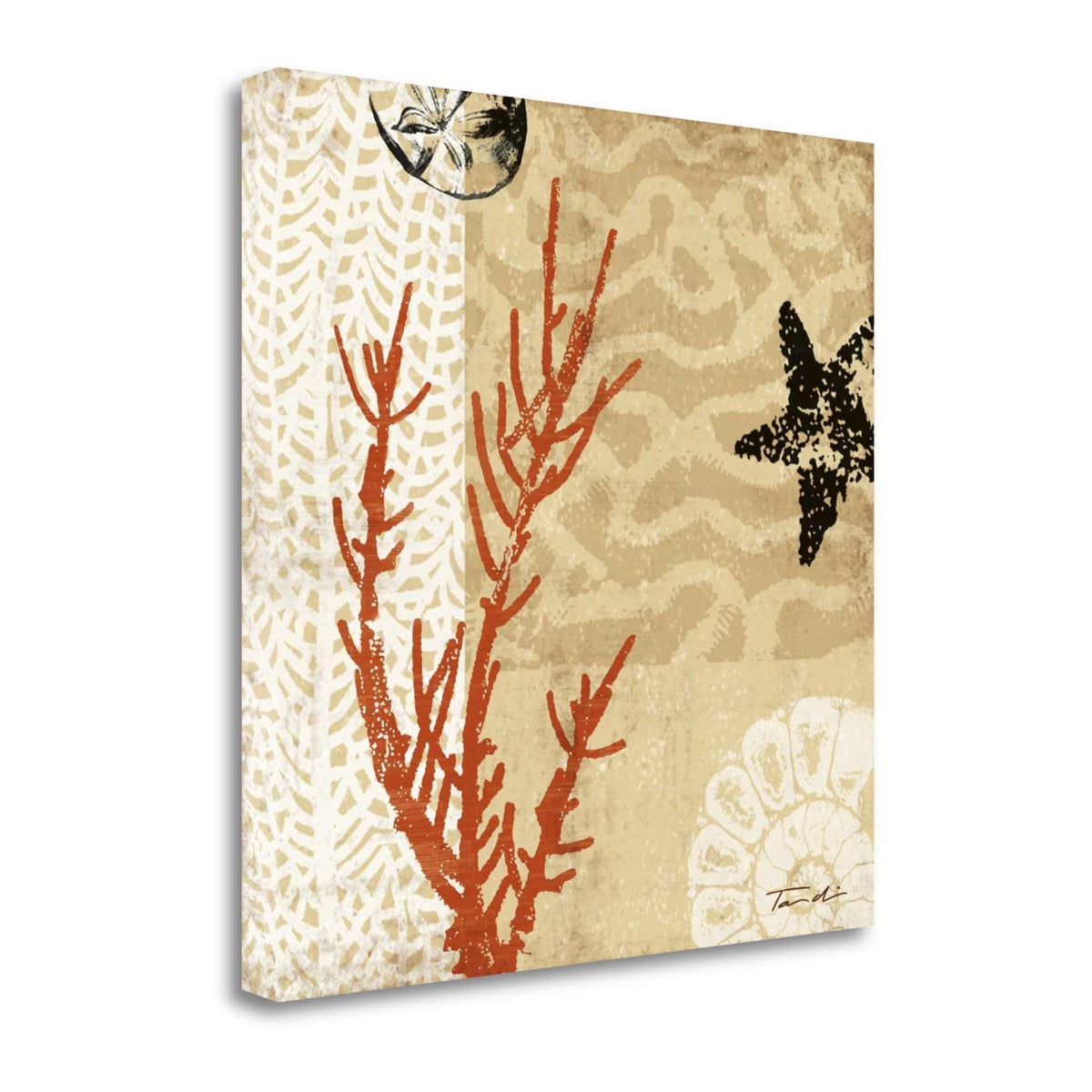 21' Underwater Coral with Starfish and Sandollar 1 Giclee Wrap Canvas Wall Art