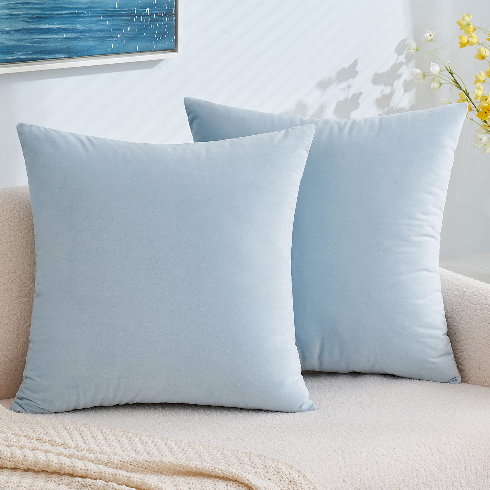 EMEMA Pack of 2 Velvet Pillow Covers Decorative Square Pillowcase Soft Solid Cushion Case for Sofa Bedroom Car 20x20 Inch Baby B