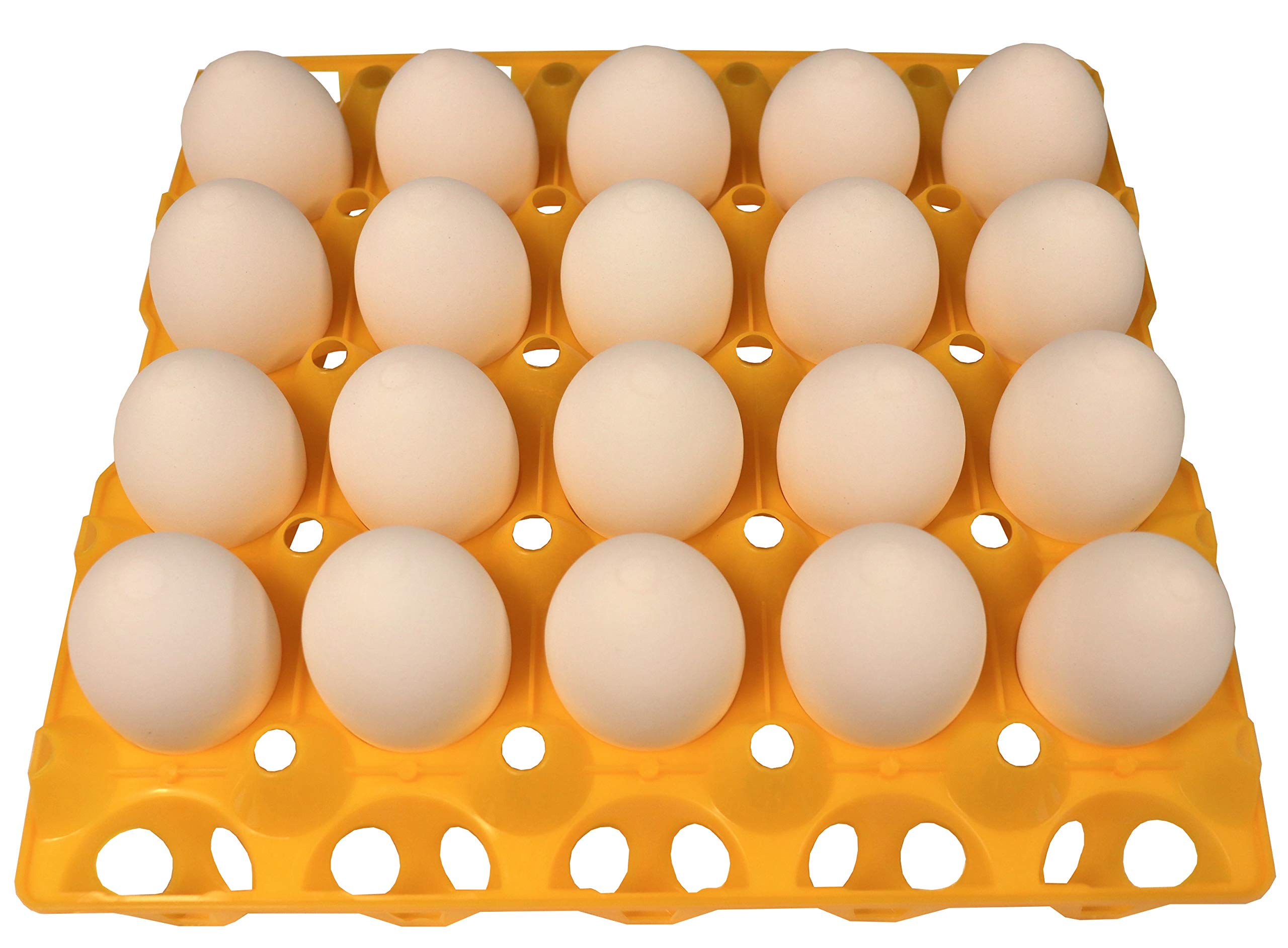 Rite Farm Products 6 20 Egg Plastic Trays For Duck Goose Turkey Peafowl Carton