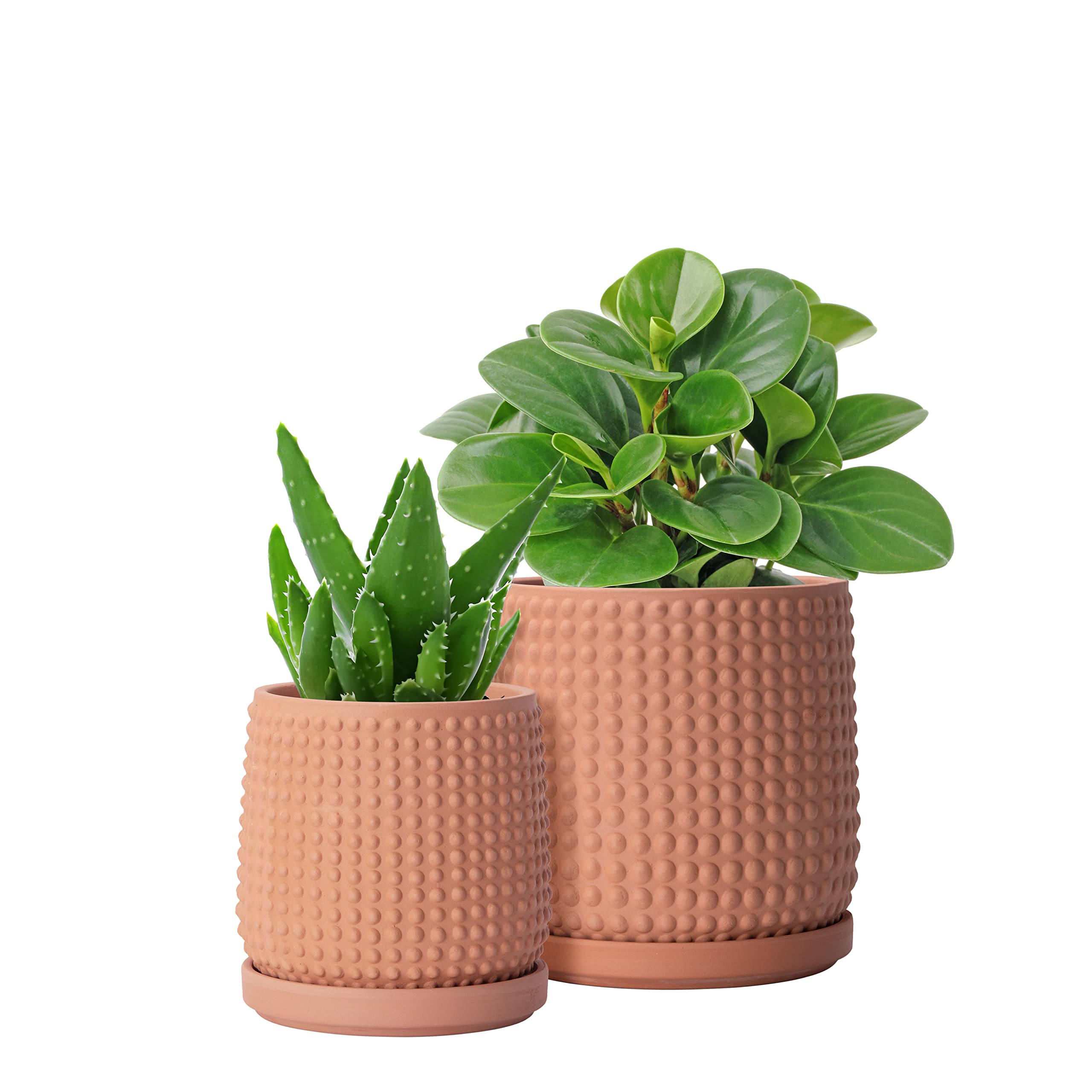 Set Of 2, 6 Inch & 4 Inch Terracotta Indoor Planter Pots With Drainage Hole And Saucer, Beaded Design Flower Pots, Terracotta Co
