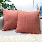 Booque Valley Throw Pillow Covers, Pack Of 2 Super Soft Elegant Modern Embossed Patterned Coral Cushion Covers Decorative Stretc