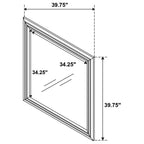 Coaster Home Furnishings Janine Square Dresser Mirror Grey