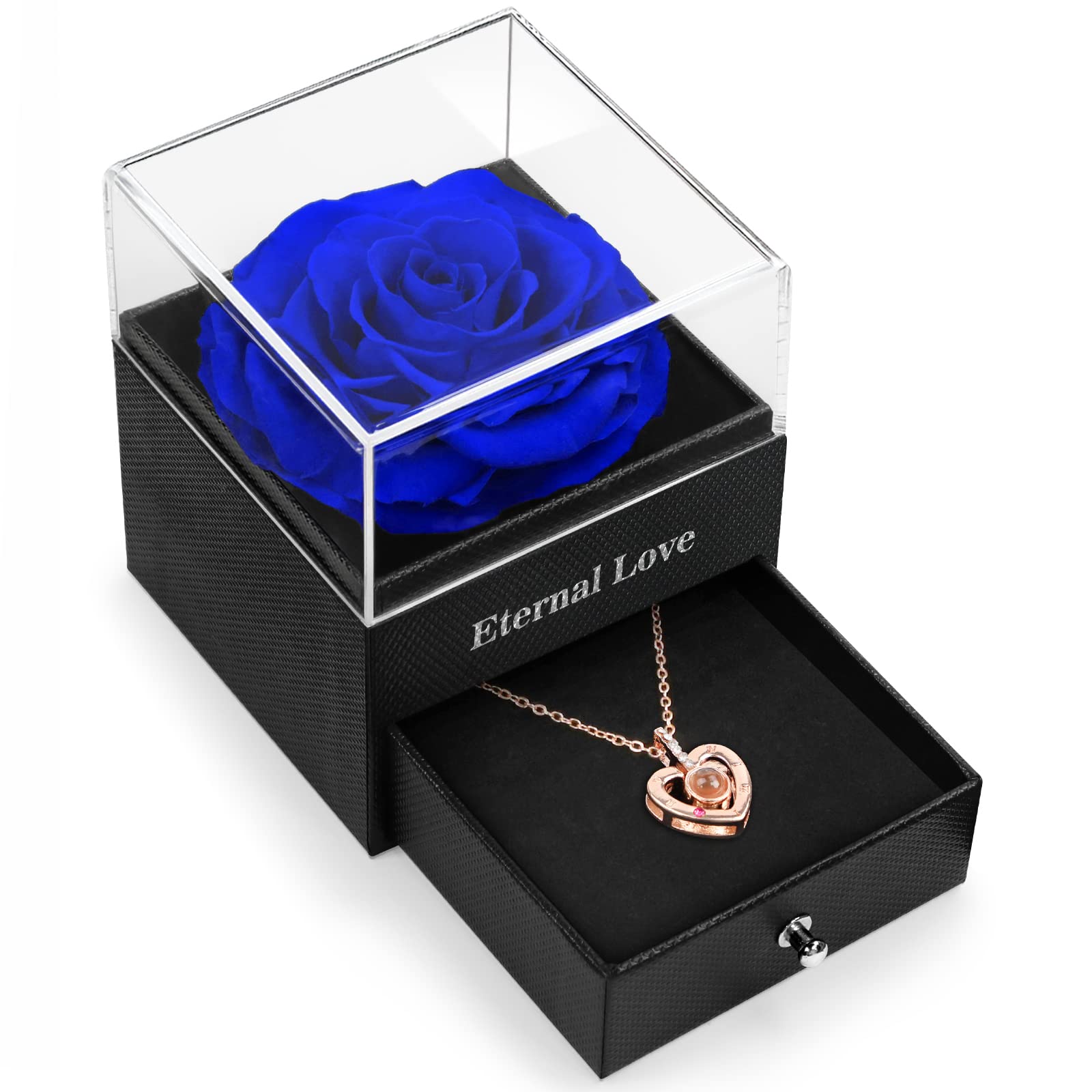 HEGUD Preserved Real Rose with I Love You Necklace in 100 Language, Valentines Day Gifts for Her, Girlfriend, Eternal Real Rose 