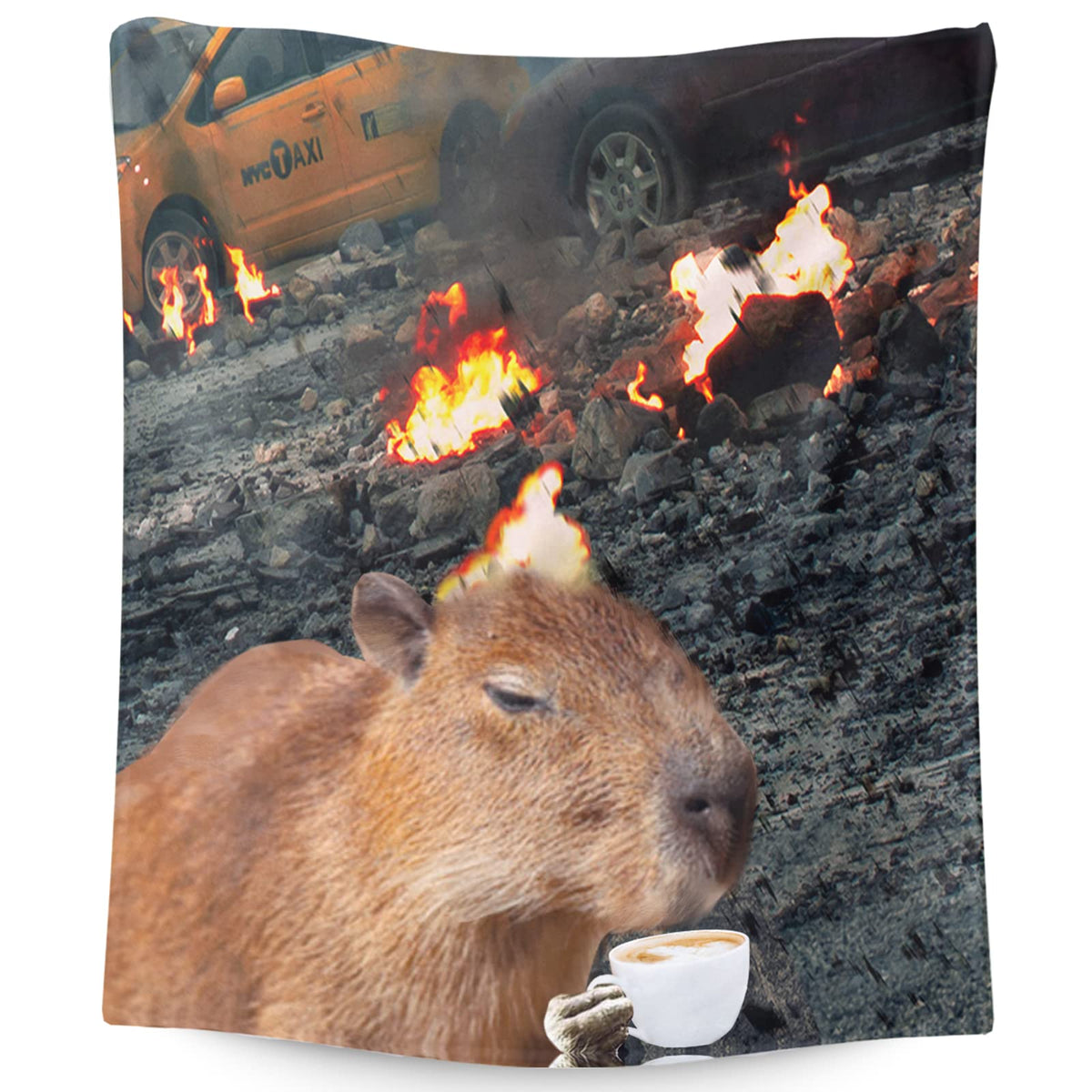 Capybara Blanket Gifts - 50X40 Inches Small Blanket For Kids, Girls & Boys- Soft Cozy Warm Blankets For Camping, Couch - Funny C
