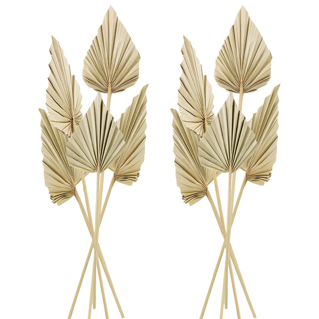 Chenkaiyang 10 Pcs Boho Dried Palm Spears Leaves Bulk, Small Natural Dried Real Palm Fans,Dried Palm Leaves with Stem Dried Leaf