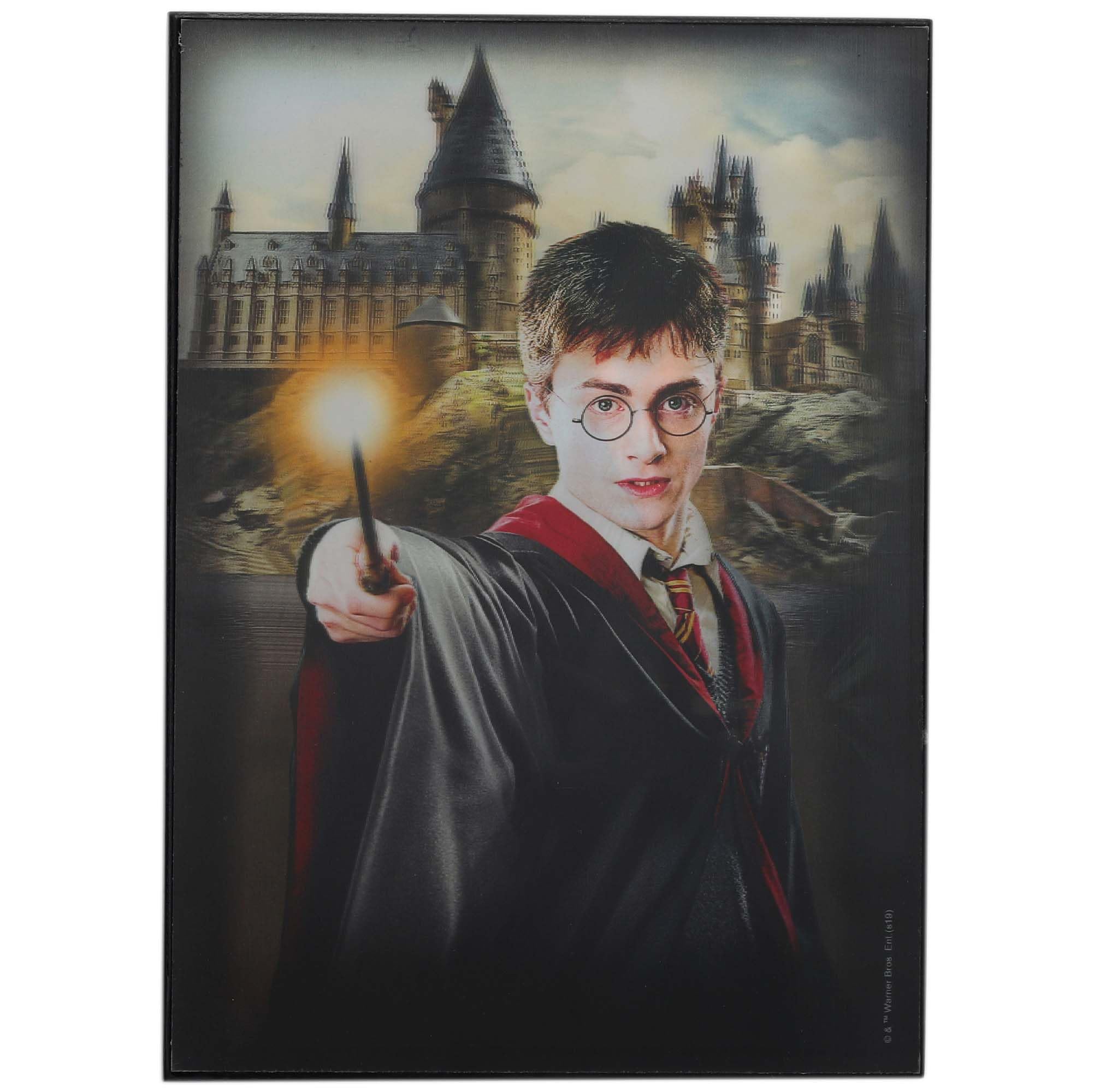 Open Road Brands Harry Potter 3D Wood Wall Decor - Vintage Harry Potter Picture Featuring Both Harry and Lord Voldemort