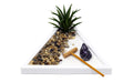 Natures Mark Mini Zen Garden Kit for Desk with White Sand, Rake, White Base, Salt Rock and Air Plant (Triangle)