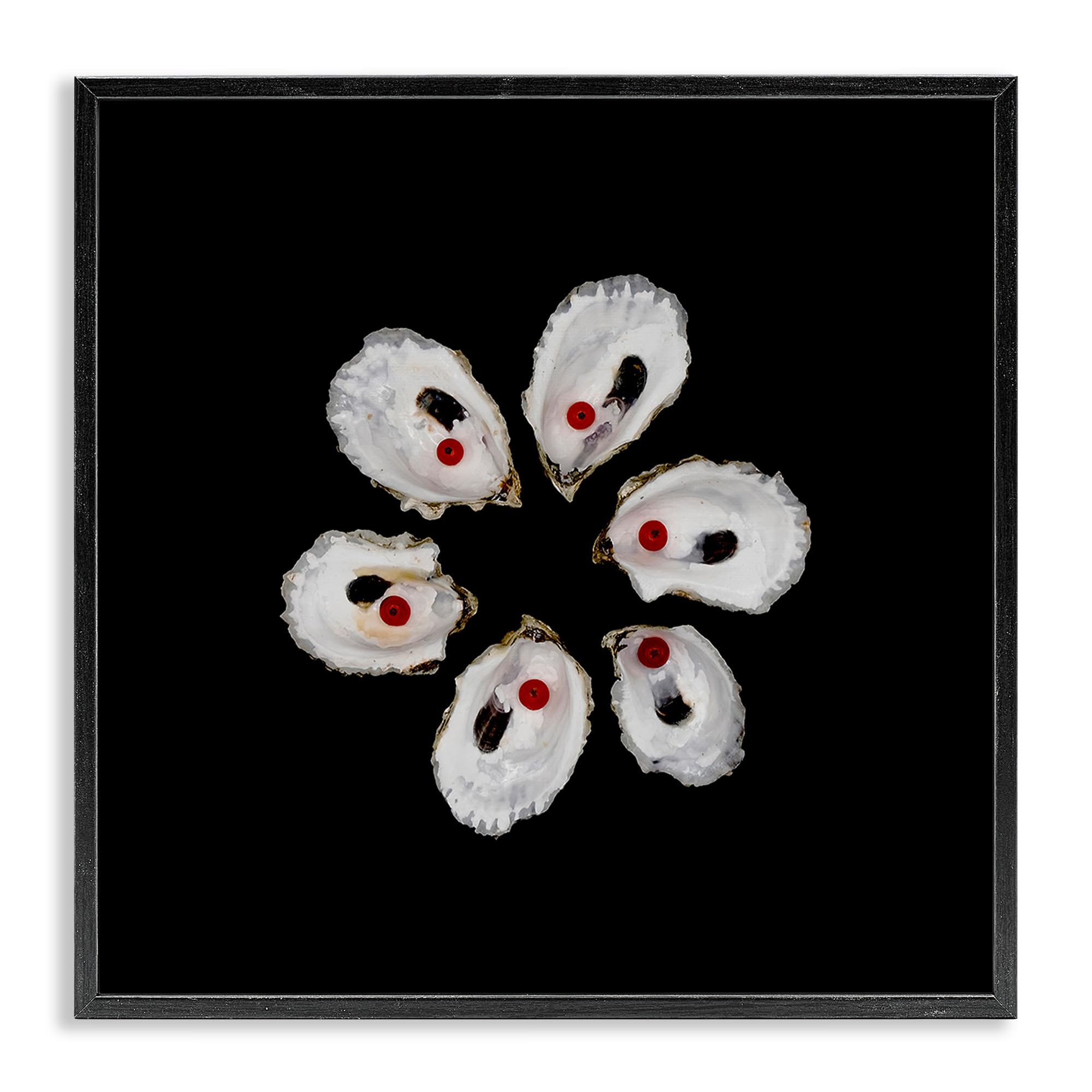 Stupell Industries Oyster Shells Symmetry, Framed Giclee Art, Black, 12 x 12 Inches, Easy to Hang and Sturdy, Made in USA, by 