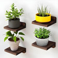 Rajora Woods Wood Floating Wall Shelves For Plant Display Set Of 4 (Brown)