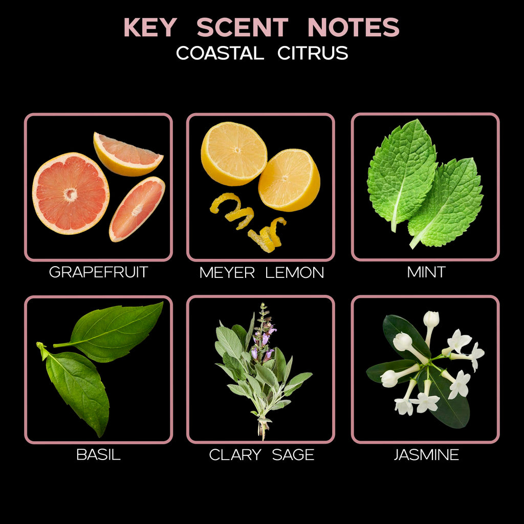 Lovspa Coastal Citrus Scented Reed Diffuser Set - Fresh Scent Diffuser For Home - Non-Toxic Oil Reed Diffuser - Made In The Usa