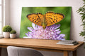 DesignSkinz Wall Art | HD Metal Prints | Home Decor for Living Room, Bedroom, Office, Study, Shelf (24x16inch)  Pastel Wings