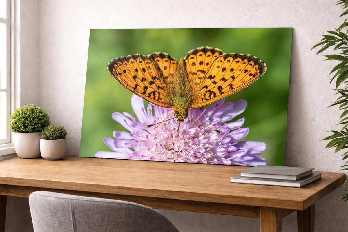 DesignSkinz Wall Art | HD Metal Prints | Home Decor for Living Room, Bedroom, Office, Study, Shelf (24x16inch)  Pastel Wings
