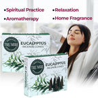 Eucalyptus Incense Cones - Total 20 Cone Incense - Dual Pack Of 10 Insence Cones - Incense Cones Scented - Cone Incense Scents -