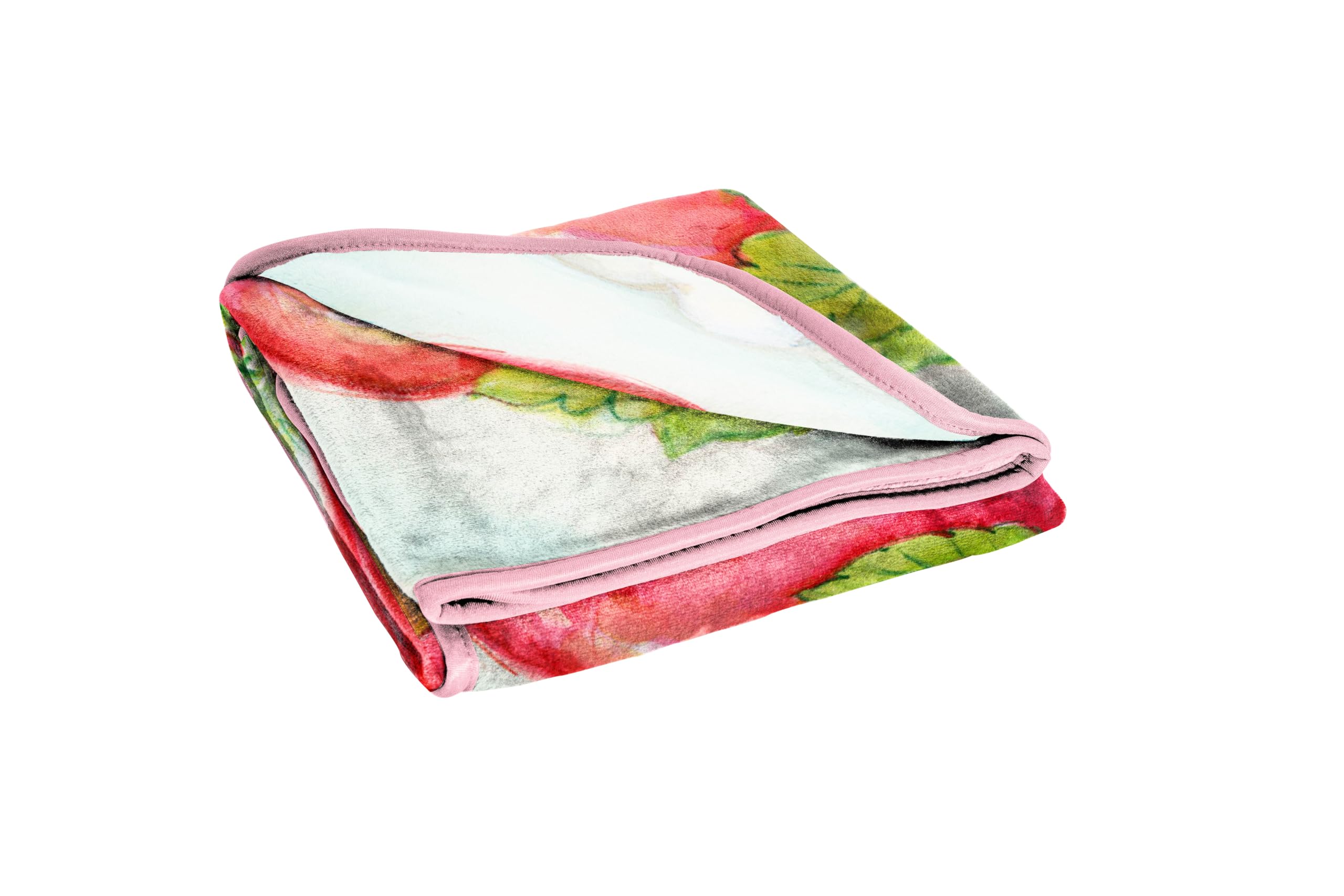 Strawberry Shortcake Berry Playhouse Plush Throw Blanket - Measures 46 X 60 Inches - Kids Super Soft Lightweight Fleece Bedding