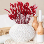 Cisdueo 120Pcs Dried Bunny Tails Flowers Red Lagurus Ovatus Tail Dried Flowers Pampas Grass Natural Dried Floral Arrangement For