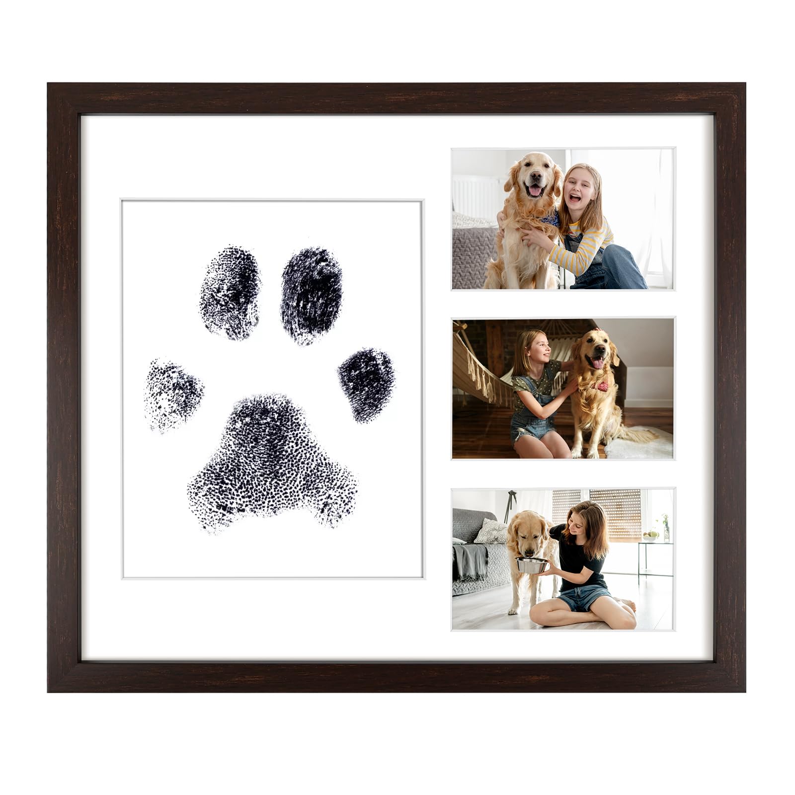 14x16 Dark Brown Wood Picture Frame - White Mat for 8x10 and 4x6 Photos - Real Glass, Sawtooth Hanger, Swivel Tabs - Wall Mounti
