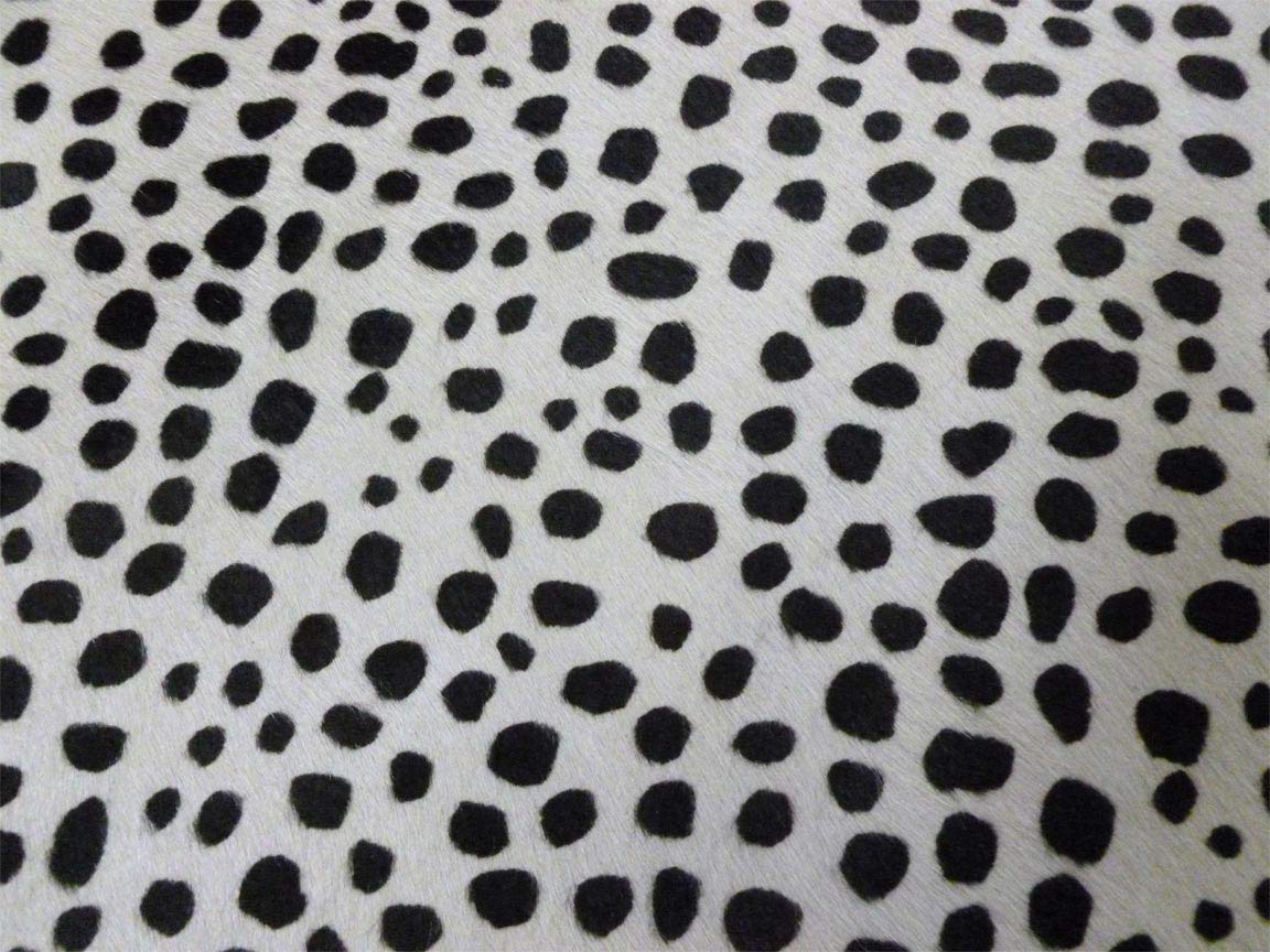 HomeRoots Black and White Stenciled Cheetah Brazilian Cowhide Rug